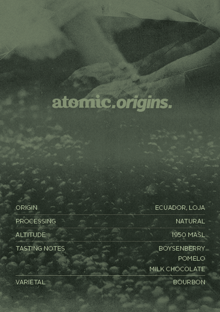 Colombia Luis Anibal Calderon | Filter Roast