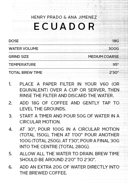 Colombia Luis Anibal Calderon | Filter Roast