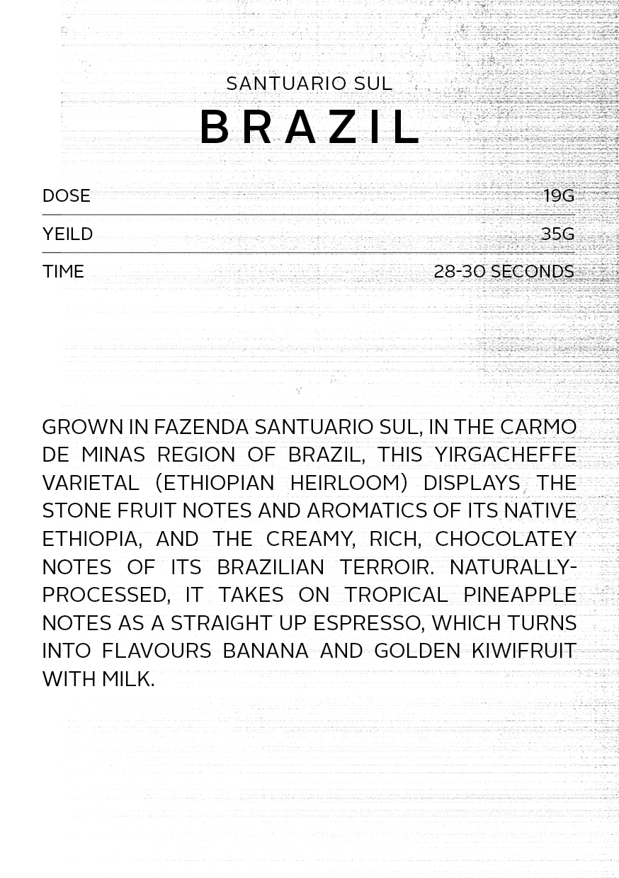 Brazil Santuario Sul | Espresso roast