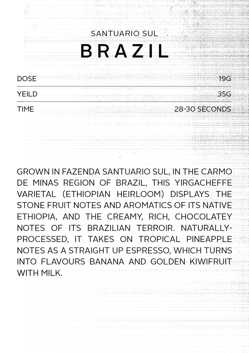 Brazil Santuario Sul | Espresso roast