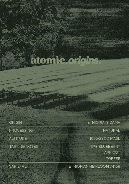 Ethiopia Odakko Project | Filter Roast