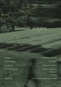 Ethiopia Odakko Project | Filter Roast