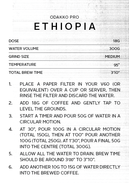 Ethiopia Odakko Project | Filter Roast