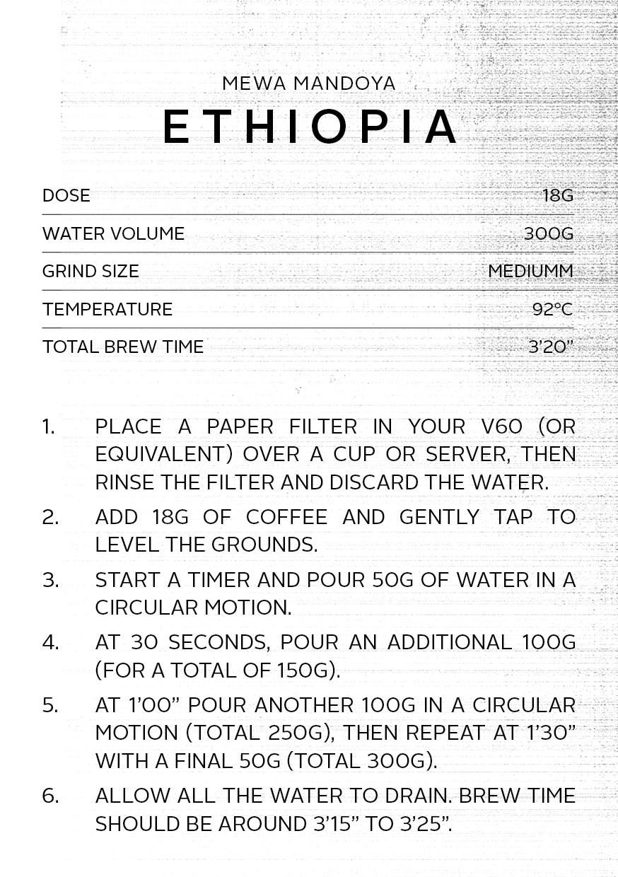Ethiopia Mewa Mandoya | Filter Roast