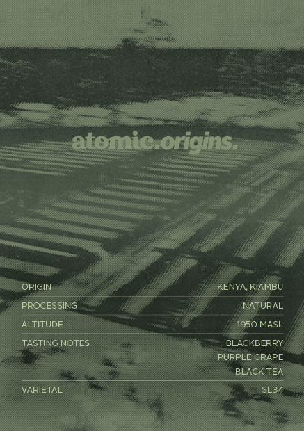 Kenya Sasini Estates | Filter Roast