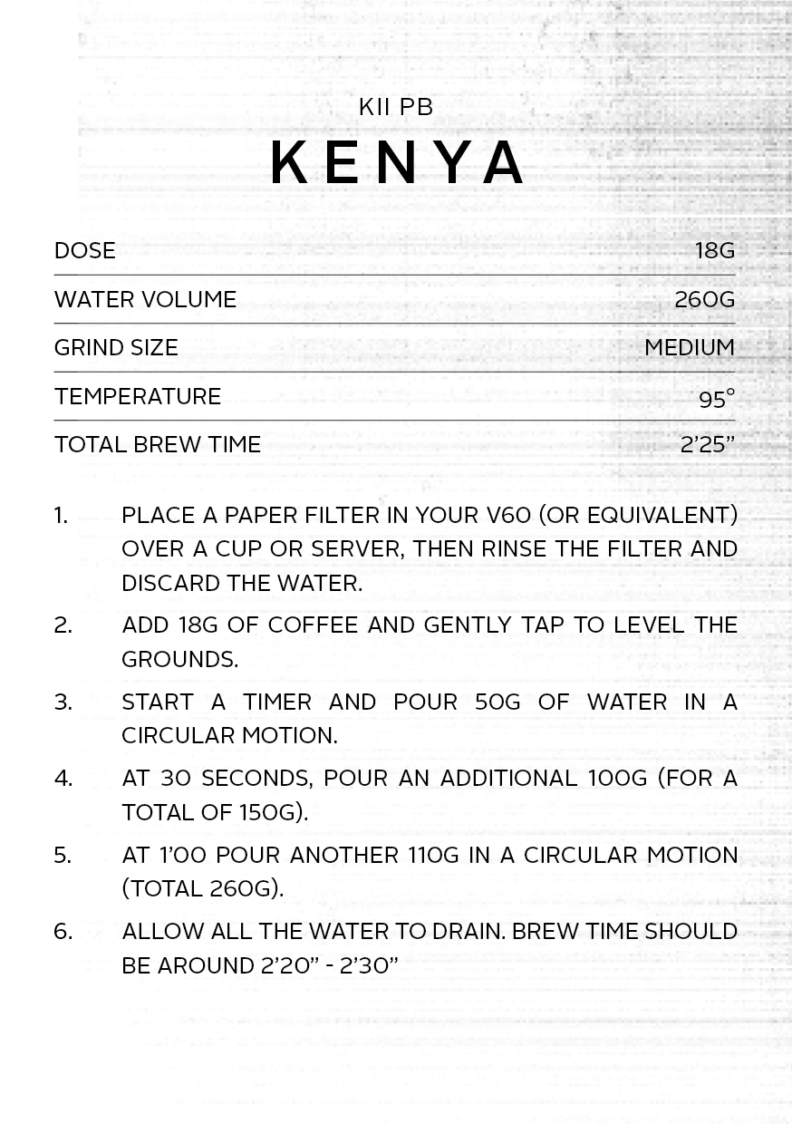 Kenya Kii PB | Filter Roast